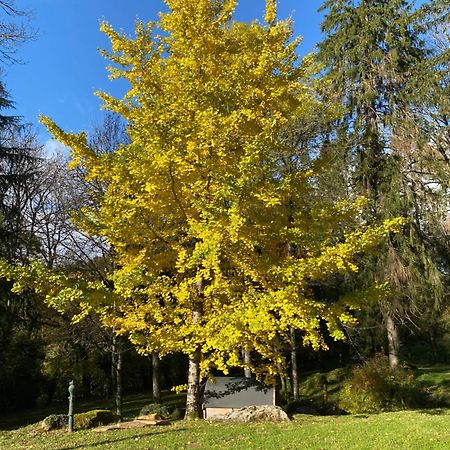 Le Tilleul De Bressolles Brassac  エクステリア 写真